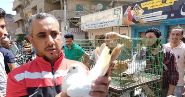 "أسترالي وكركندى وشقلباظ".. سوق الحمام بالمحلة مقصد عشاق الحرية فيديو