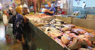 أسعار الأسماك اليوم بسوق العبور.. البلطي المزارع يتراوح بين 19-24 جنيها