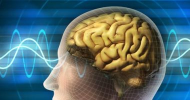 اعرف جسمك.."قرن آمون".. مصور فيديو لذكرياتنا ومسؤول عن تشكيل خبراتنا بالحياة