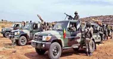 الجيش المالى: الإفراج عن الرئيس المؤقت ورئيس الوزراء تدريجيا لاعتبارات أمنية