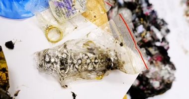 العثور على كنز مسروق بقيمة 1.5 مليون جنيه إسترلينى مدفون فى غابة روسية