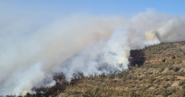 حريق ضخم بإحدى جزر الكنارى يلتهم 4 آلاف فدان من غابات الصنوبر.. صور وفيديو