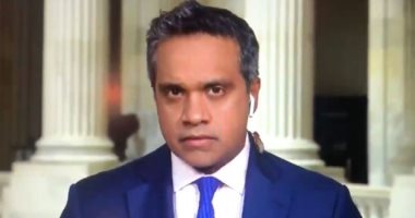 حشرة ضخمة تزحف على رقبة مراسل CNN فى الكابيتول.. فيديو