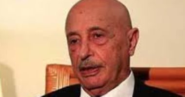 رئيس البرلمان الليبي يؤكد للمبعوث الأممي تمسكه بعقد الانتخابات في موعدها