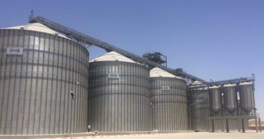 صوامع وشون الشرقية وبنى سويف تواصل استقبال محصول القمح