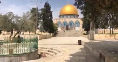 عشرات المستوطنين يقتحمون المسجد الأقصى.. واعتقال 11 فلسطينيا