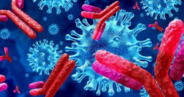 كيف تعمل الأجسام المضادة وحيدة النسيلة ضد فيروس كورونا بالجسم؟