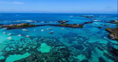 ليوناردو دي كابريو يتعهد بمبلغ 43 مليون دولار للحفاظ على البيئة بجزر جالاباجوس