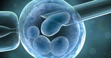 ما هى الاستعدادات اللازمة قبل إجراء عملية التلقيح الصناعى