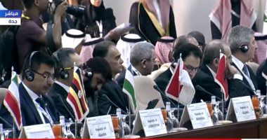 منظمة التعاون الإسلامي تثمن جهود مصر وترحب بوقف إطلاق النار في غزة