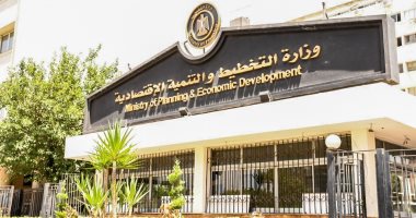 وزارة التخطيط تعقد جلسات تشاورية افتراضية لمناقشة مستهدفات رؤية مصر 2030