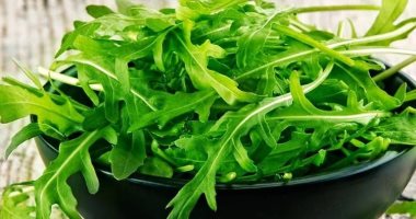 يقلل مخاطر السرطان ويحافظ على صحة العظام.. تعرف على فوائد الجرجير