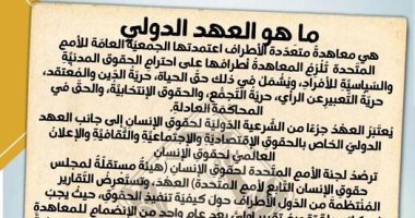 اللجان النوعية بتنسيقية شباب الأحزاب تعد تقريرا عن العهد الدولى