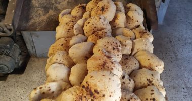 تموين بورسعيد: توزيع 27 مليون رغيف خلال شهر مايو