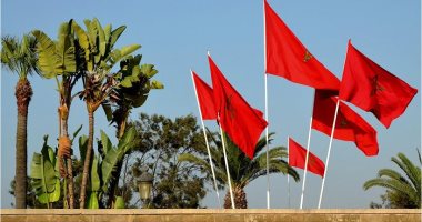 المغرب يسجل 11358 إصابة بـ" كورونا " و76 حالة وفاة
