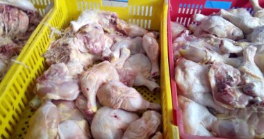 ضبط كميات كبيرة من الدواجن الفاسدة بمجزر خلال حملة تفتيشية مفاجأة بالشرقية