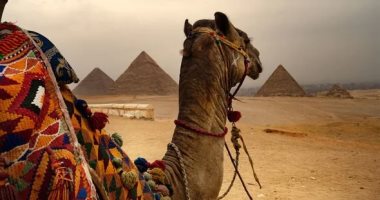 فسح مش هتكلفك أكتر من 100جنيه فى رأس السنة .. أبسط ولادك ووفر