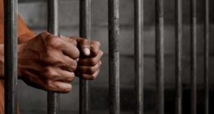10 سنوات مشددة لسائق وعاطل سرقا توك توك بالإكراه في كفر الشيخ