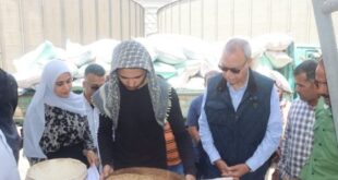 محافظ القليوبية يتابع توريد القمح بصومعة الغلال في عرب العليقات بالخانكة