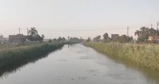 طقس سوهاج.. الجو ربيعى دافئ على جميع أنحاء المحافظة "فيديو"