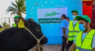 "تضامن الشرقية": 30 ألف كيلو لحوم أضاحى للأسر الأولى بالرعاية