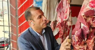حملات على منافذ بيع اللحوم وضبط 320 كيلو بأختام مزورة فى أخميم