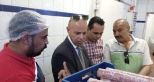 ضبط وإعدام 3 أطنان أغذية.. وغلق جزئي لمصنع لحوم في حملات رقابية بالشرقية