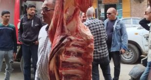 بيطرى الغربية: ما ضبط بمحل جزارة بالمحلة لحوم يشتبه فى صلاحيتها وليست لحوم كلاب