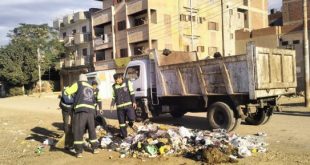 رفع 160 طن تجمعات وتراكمات قمامة بقرية بدواي بالدقهلية