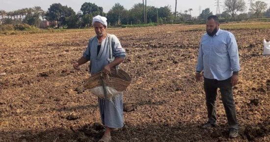 زراعة 260 فدانا من محصول الكتان بغيطان الشرقية.. اعرف التفاصيل