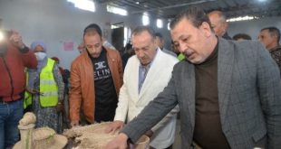 محافظ أسيوط يتفقد مشروع تدوير مخلفات أشجار الموز ويحيل طبيب غسيل كلوى للتحقيق