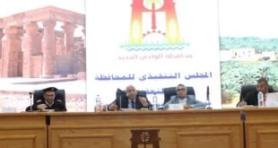 محافظ الوادي الجديد: نقل كل موظفى المصالح الحكومية إلى المجمع المميكن