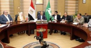 محافظة الشرقية تخصص 400 ألف فدان لزراعة القمح