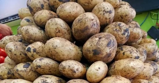 أسعار الخضار والفاكهة والدواجن اليوم الجمعة 20 ديسمبر 2024 بأسواق المنوفية