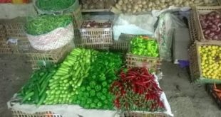 أسعار الخضراوات اليوم الخميس 19 ديسمبر 2024 فى سوق دمياط.. الكوسة بـ12 جنيها