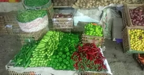 أسعار الخضراوات اليوم الخميس 19 ديسمبر 2024 فى سوق دمياط.. الكوسة بـ12 جنيها