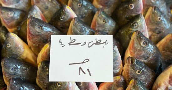 أسعار السمك اليوم السبت 14 ديسمبر فى سوق المنشية بالإسكندرية.. صور