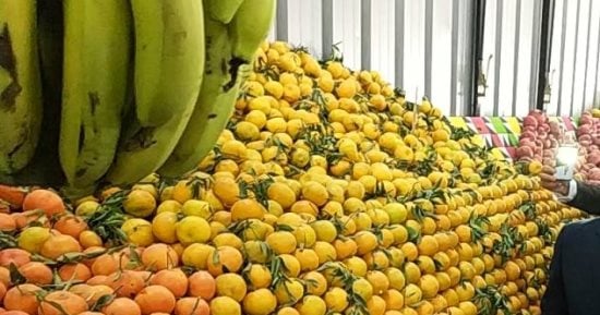 أسعار الفواكه والخضار في محلات وأسواق مطروح اليوم السبت