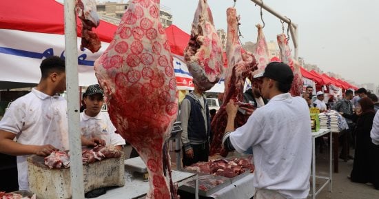 أسعار اللحوم اليوم الخميس 2024/12/19 بالغربية