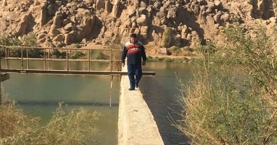 إلقاء 540 ألف زريعة سمك مبروك تدريجيا فى ترعة النقرة بأسوان