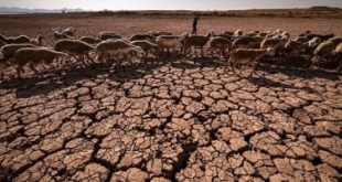 انخفاض نسبة ملء السدود بالمغرب إلى 28% بسبب سنوات الجفاف وندرة الأمطار