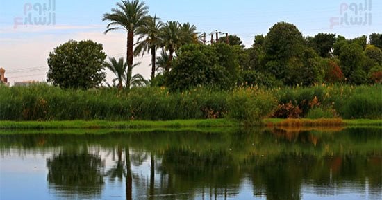 تاريخ مصر.. هل جرت داخل بلادنا 7 أفرع من نهر النيل؟