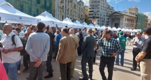 تخفيضات تصل 30%.. انطلاق سوق اليوم الواحد بمنطقة الورديان بالإسكندرية اليوم