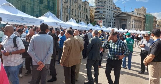 تخفيضات تصل 30%.. انطلاق سوق اليوم الواحد بمنطقة الورديان بالإسكندرية اليوم