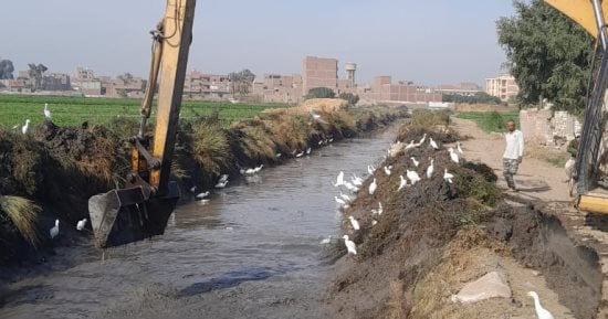 "رى أسيوط" ترفع المخلفات بترعتى التمساحية والبسيوني لوصول المياه لنهايتها
