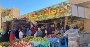 سعر الخضار والفاكهة والدواجن اليوم الخميس 19 ديسمبر فى جنوب سيناء