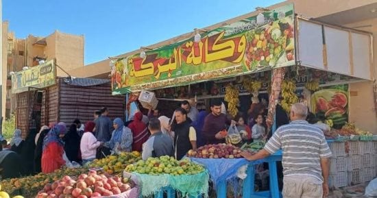 سعر الخضار والفاكهة والدواجن اليوم الخميس 19 ديسمبر فى جنوب سيناء