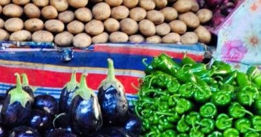 سعر الخضراوات والفاكهة اليوم الأحد في أسواق بورسعيد