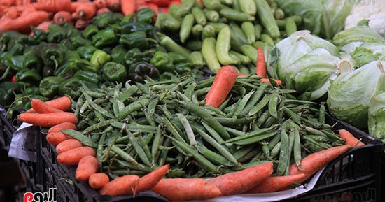 سعر الخضراوات والفواكة والدواجن بأسواق المنوفية اليوم الخميس 12 ديسمبر 2024