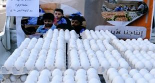 سعر كرتونة البيض اليوم السبت 21 ديسمبر 2024 فى سوق محطة مصر بالإسكندرية